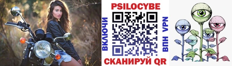 блэк спрут ссылки  Славгород  Псилоцибиновые грибы ЛСД 